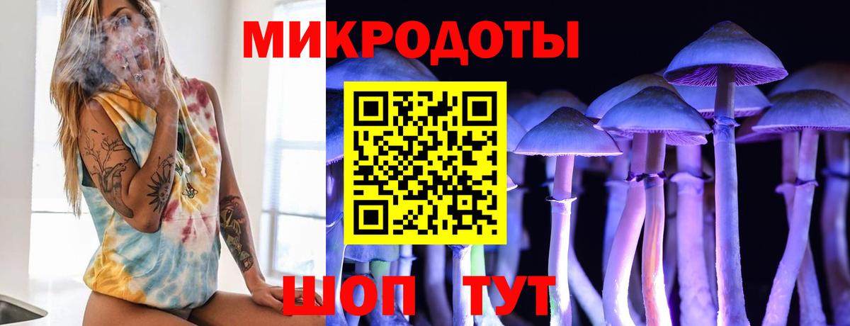 Псилоцибиновые грибы MAGIC MUSHROOMS  Вход с VPN  Назрань 